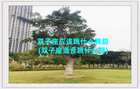 双子座应该跳什么舞蹈(双子座适合跳什么舞)