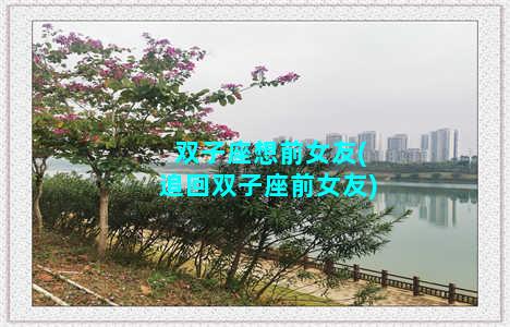 双子座想前女友(追回双子座前女友)