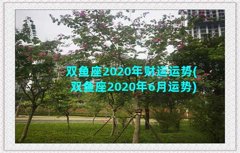 双鱼座2020年财运运势(双鱼座2020年6月运势)