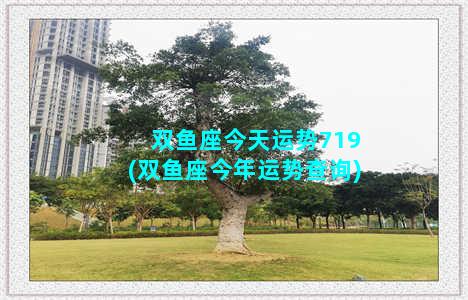 双鱼座今天运势719(双鱼座今年运势查询)