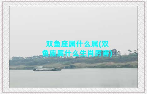 双鱼座属什么属(双鱼座属什么生肖厉害)