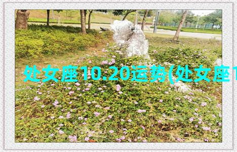 处女座10.20运势(处女座10.30运势)