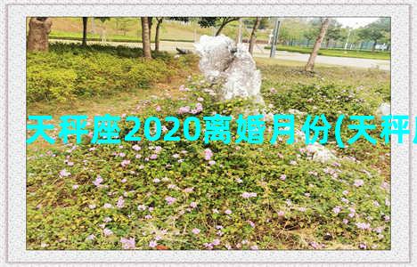 天秤座2020离婚月份(天秤座运势2020)