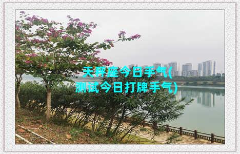 天秤座今日手气(测试今日打牌手气)