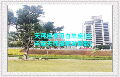 天秤座学习白羊座(白羊座天秤座配对指数)