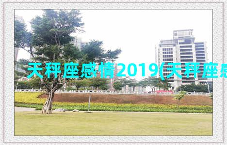 天秤座感情2019(天秤座感情2022)