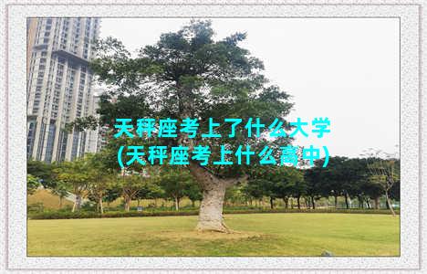 天秤座考上了什么大学(天秤座考上什么高中)