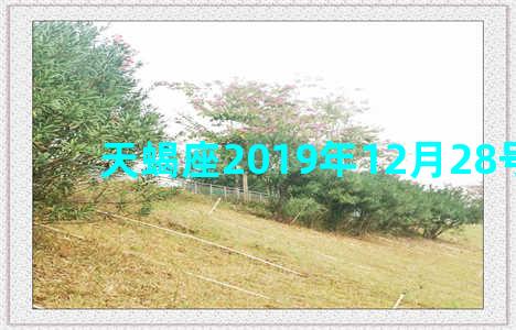 天蝎座2019年12月28号财运