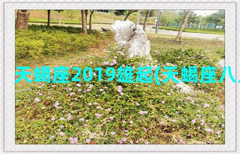 天蝎座2019雄起(天蝎座八月运势2019)