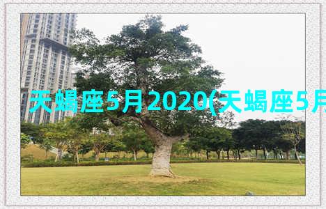 天蝎座5月2020(天蝎座5月20日运势)