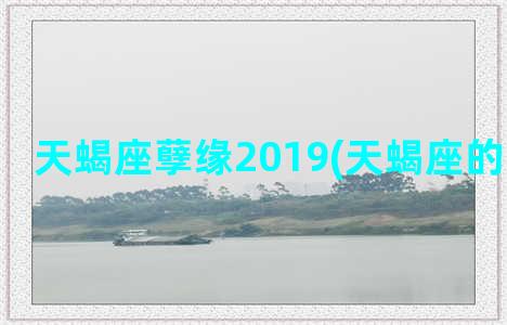 天蝎座孽缘2019(天蝎座的四大孽缘)