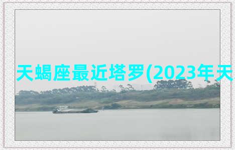 天蝎座最近塔罗(2023年天蝎座塔罗)