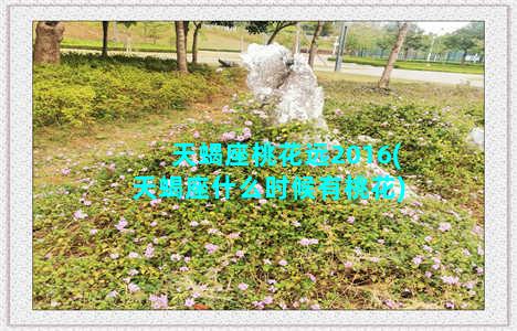 天蝎座桃花远2016(天蝎座什么时候有桃花)