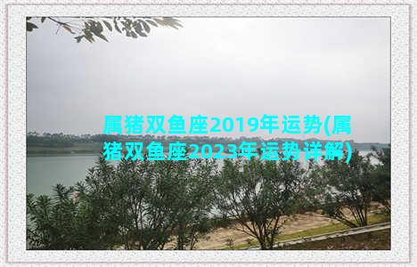 属猪双鱼座2019年运势(属猪双鱼座2023年运势详解)