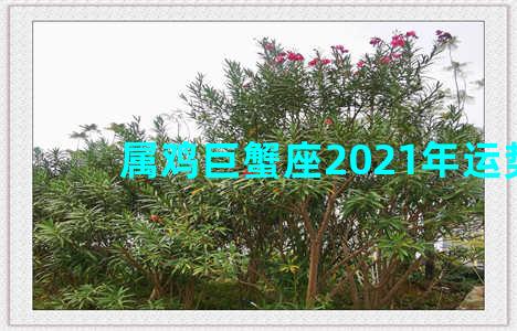 属鸡巨蟹座2021年运势