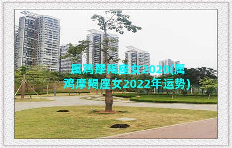 属鸡摩羯座女2020(属鸡摩羯座女2022年运势)