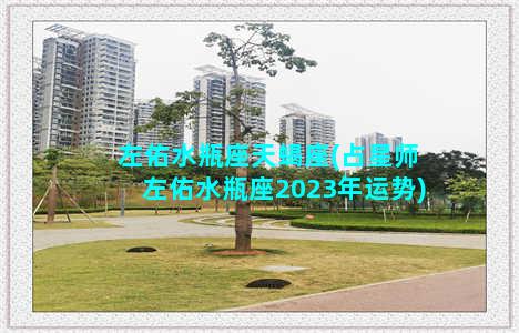 左佑水瓶座天蝎座(占星师左佑水瓶座2023年运势)