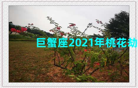 巨蟹座2021年桃花劫