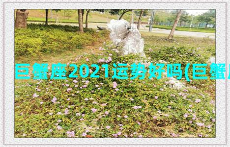 巨蟹座2021运势好吗(巨蟹座2021运势)