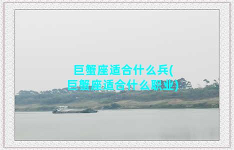 巨蟹座适合什么兵(巨蟹座适合什么职业)