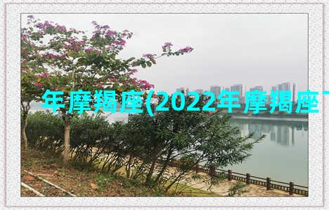 年摩羯座(2022年摩羯座下半年)