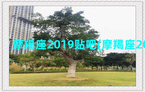 摩羯座2019贴吧(摩羯座2019年运势)