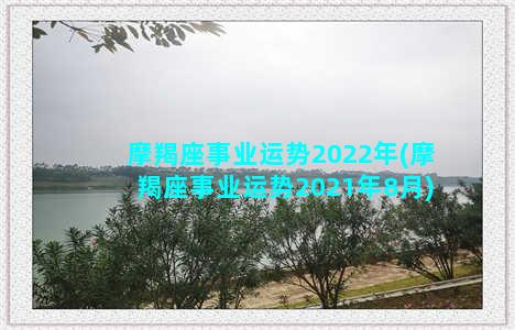 摩羯座事业运势2022年(摩羯座事业运势2021年8月)