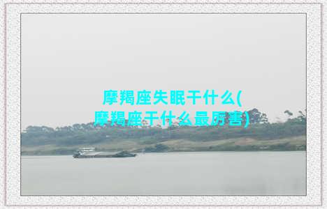 摩羯座失眠干什么(摩羯座干什么最厉害)