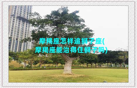 摩羯座怎样追狮子座(摩羯座能治得住狮子吗)