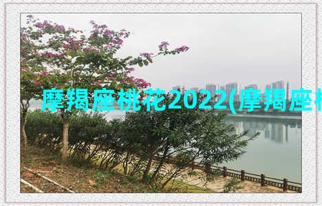 摩羯座桃花2022(摩羯座桃花运)