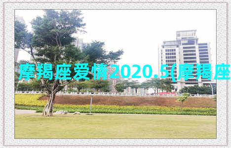 摩羯座爱情2020.5(摩羯座爱情运势)