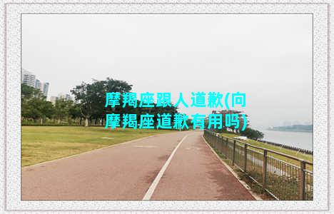 摩羯座跟人道歉(向摩羯座道歉有用吗)