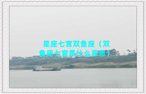 星座七宫双鱼座（双鱼座七宫是什么意思）