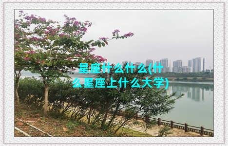 星座什么什么(什么星座上什么大学)