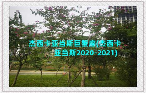 杰西卡亚当斯巨蟹座(杰西卡亚当斯2020-2021)