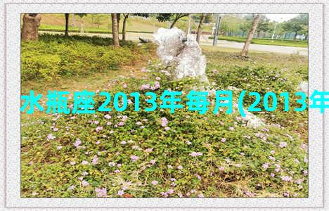 水瓶座2013年每月(2013年水瓶座运势)