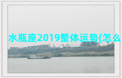 水瓶座2019整体运势(怎么整水瓶座)