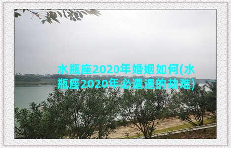 水瓶座2020年婚姻如何(水瓶座2020年必遭遇的劫难)