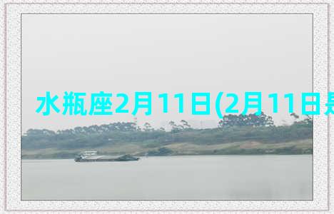 水瓶座2月11日(2月11日是什么座)