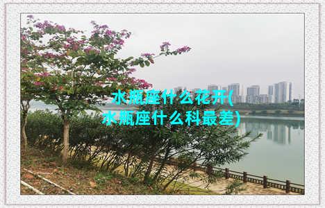 水瓶座什么花开(水瓶座什么科最差)