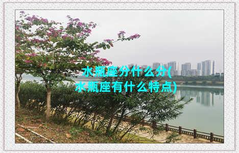 水瓶座分什么分(水瓶座有什么特点)