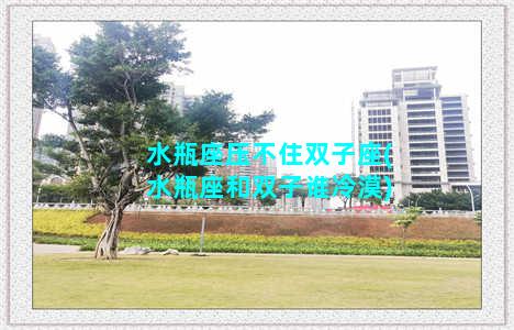 水瓶座压不住双子座(水瓶座和双子谁冷漠)