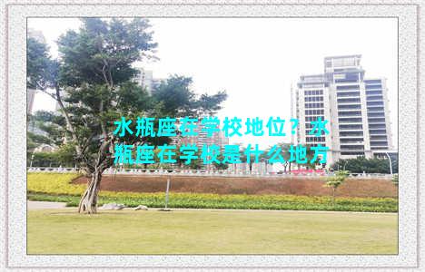 水瓶座在学校地位？水瓶座在学校是什么地方