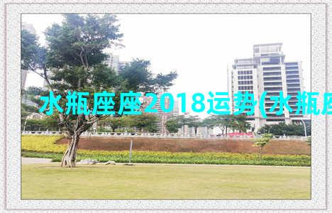 水瓶座座2018运势(水瓶座2018年)