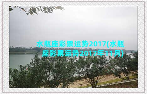 水瓶座彩票运势2017(水瓶座彩票运势2017年11月)