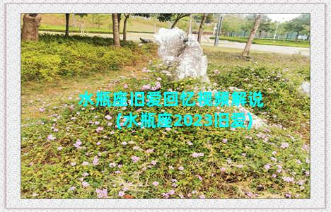 水瓶座旧爱回忆视频解说(水瓶座2023旧爱)