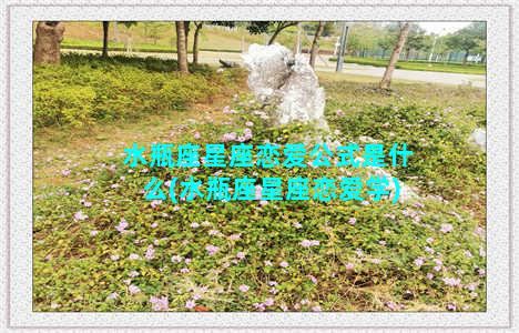 水瓶座星座恋爱公式是什么(水瓶座星座恋爱学)