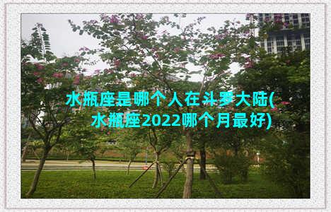 水瓶座是哪个人在斗罗大陆(水瓶座2022哪个月最好)