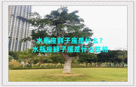 水瓶座狮子座是什么？水瓶座狮子座是什么性格