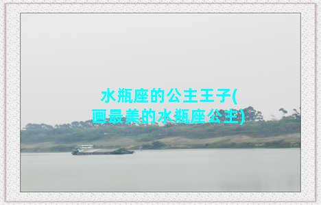 水瓶座的公主王子(画最美的水瓶座公主)